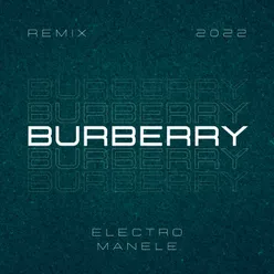 Burberry Remix