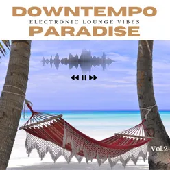 Downtempo Paradise, Vol. 2 Electronic Lounge Vibes