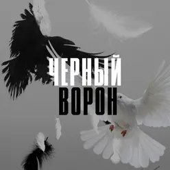 Черный ворон