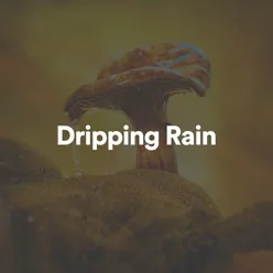 Best Rain App For Sleep