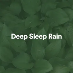 Rain Sleep Sounds No Thunder