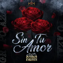 Sin Tu Amor