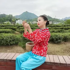 捧上一杯紫阳茶 柔情版