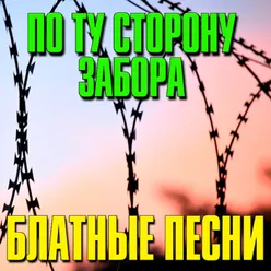 По ту сторону забора