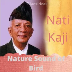 Nature Sound of Bird