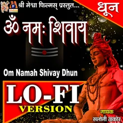 Om Namah Shivay Dhun Lo-Fi Version