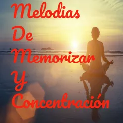 Concentracion A La Mente