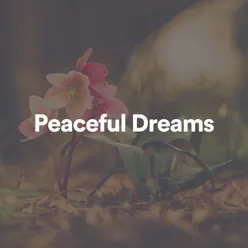 Peaceful Dreams, Pt. 7