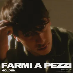 Farmi a pezzi