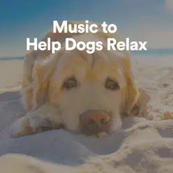 Music to Help Dogs Relax, Pt. 10