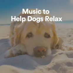 Music to Help Dogs Relax, Pt. 13