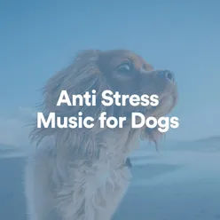 Anti Stress Music for Dogs, Pt. 11