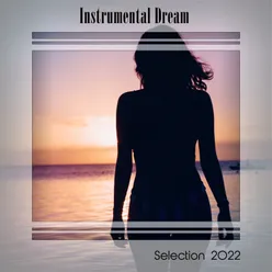 INSTRUMENTAL DREAM SELECTION 2022