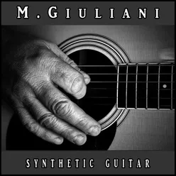 Synthetic Guitar Electronic Version