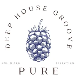 Pure Deep Groove