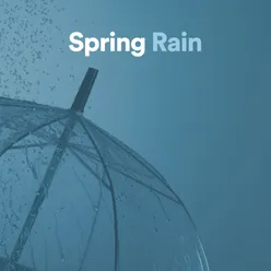 Raining Umbrella Emoji