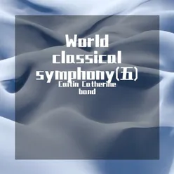 World classical symphony(五)