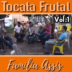 Tocata Frutal , Vol. 1 Família Assis