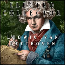 Electro collector Electronic Version