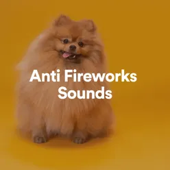 Anti Fireworks Sounds, Pt. 1