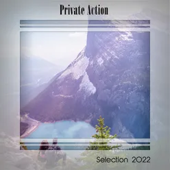 PRIVATE ACTION SELECTION 2022