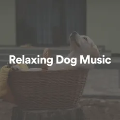 Relaxing Dog Music, Pt. 1