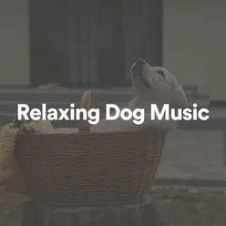 Relaxing Dog Music, Pt. 18