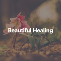 Inside Healing