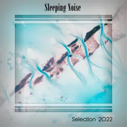 SLEEPING NOISE SELECTION 2022