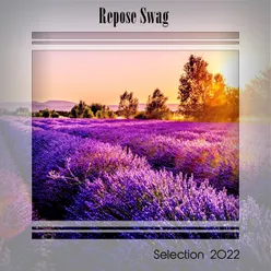 REPOSE SWAG SELECTION 2022