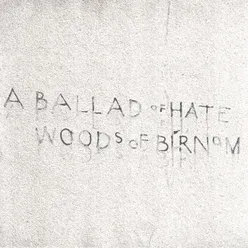A Ballad Of Hate