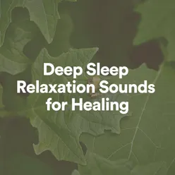 Deep Sleep Relaxation Sounds for Healing, Pt. 1