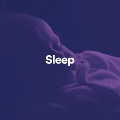 Sleep, Pt. 8