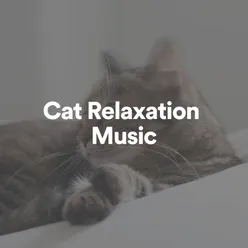Cat Relaxation Music
