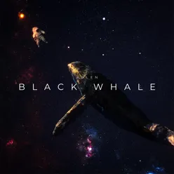 Black Whale