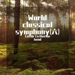 World classical symphony(六)