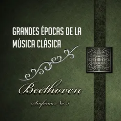 Symphony No. 5 in C Minor, Op. 67: III. Scherzo. Allegro