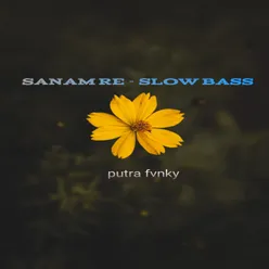 Sanam Re - Slow Bass