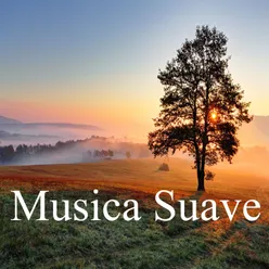 Música suave