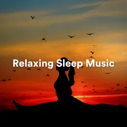 Sleeping Music Deep Sleeping Music