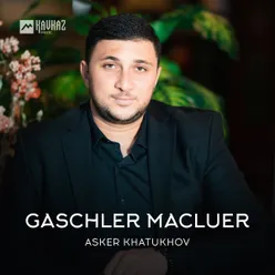 Gaschler Macluer