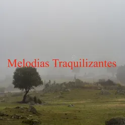 Melodía para dejar de Pensar