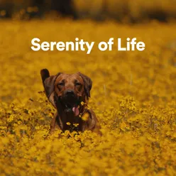 Serenity of Life, Pt. 7
