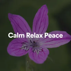 Calm Relax Peace
