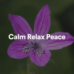 Calm Relax Peace, Pt. 4