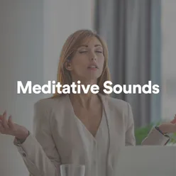 Meditative Sounds, Pt. 1