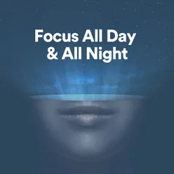 Focus All Day & All Night, Pt. 5