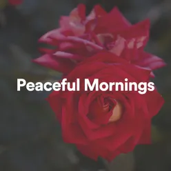 Peaceful Mornings