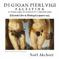 Palestrina - Il Primo & Il Secondo Libro De Madrigali A Quattro Voci 1555, 1586, Renaissance for Steel Guitar