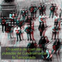 Orquesta de Cuerdas Pulsadas de Cundinamarca - 1a Temporada